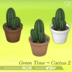 Green Time 4 Potted Cactuses 🎍🌵🏜