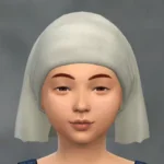 TSM Simple Veil