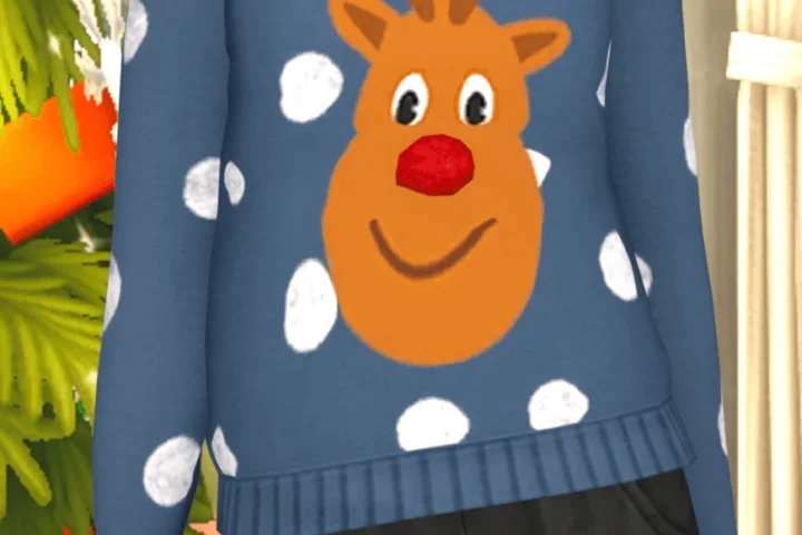 RUDOLPH sweater for adults
