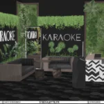 Karaoke set (2022)