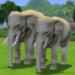 Tomarang Decorative Animals