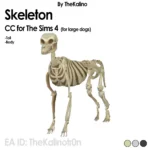 Halloween Package