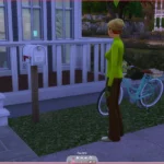 SimsLootBox