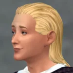 TSM Slicked Back Long Hair
