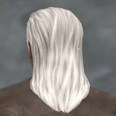 TSM Slicked Back Long Hair
