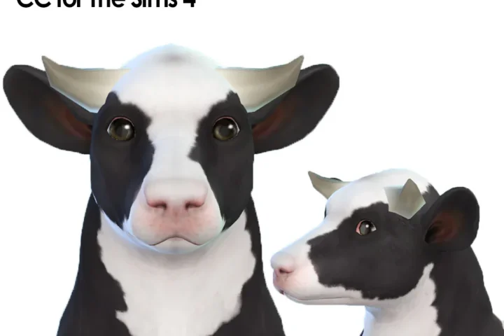 Small Cow Horns