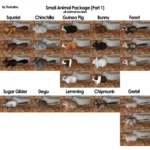 Small Animal Package Part 1