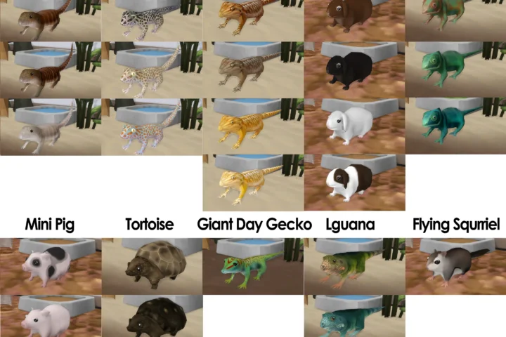 Small Animal Package Part 2
