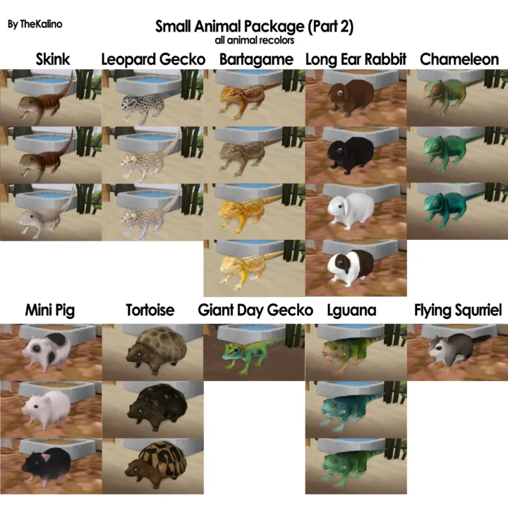 Small Animal Package Part 2