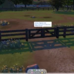 RSM (Horse Ranch) - Special Paddock Gate & Stable Stall Door