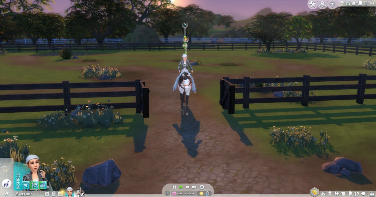 RSM (Horse Ranch) - Special Paddock Gate & Stable Stall Door