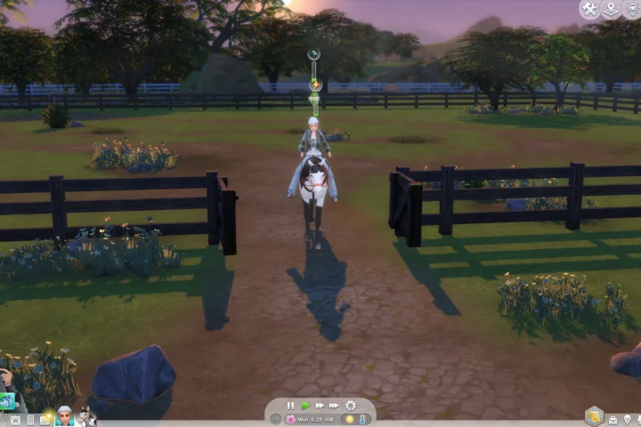 RSM (Horse Ranch) - Special Paddock Gate & Stable Stall Door