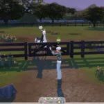 RSM (Horse Ranch) - Special Paddock Gate & Stable Stall Door