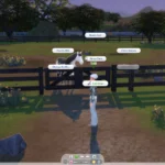 RSM (Horse Ranch) - Special Paddock Gate & Stable Stall Door
