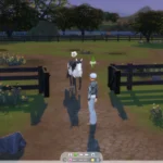 RSM (Horse Ranch) - Special Paddock Gate & Stable Stall Door