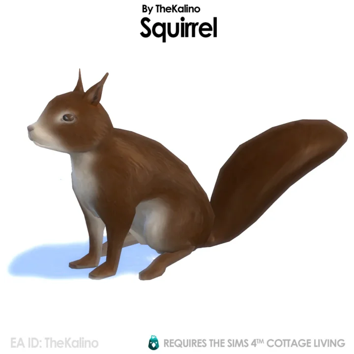 Squirrel