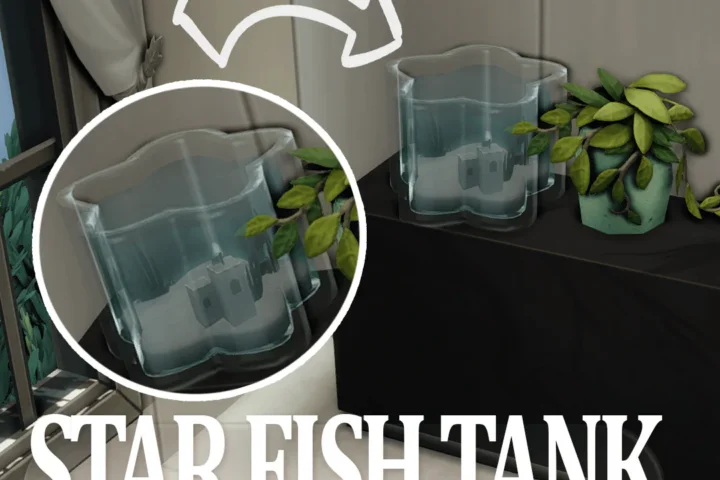 Star Fish Tank