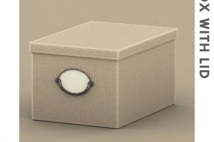 QICC - Lively Storage Box with Lid