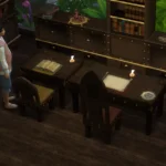 Castle Set Part 6: Study/Library
