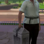 TSM Carved Chest as suitcase replacement