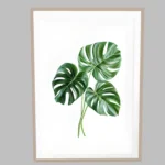 Boho botanical prints - set