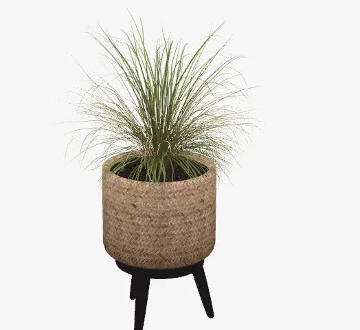 Sierra plants - set