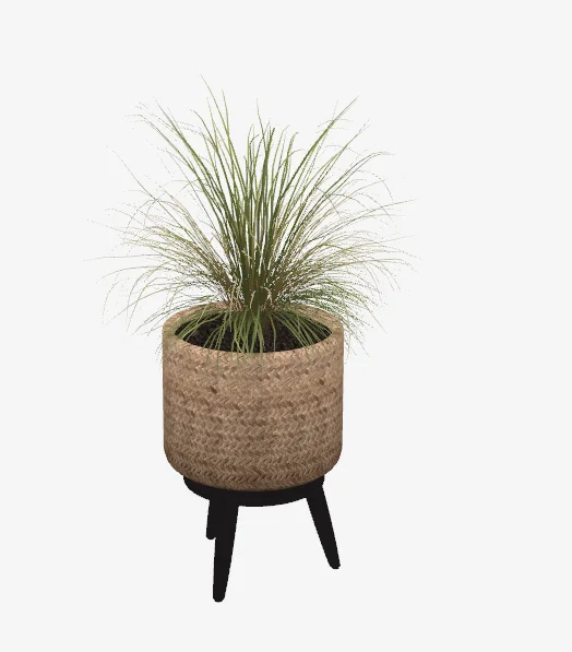 Sierra plants - set