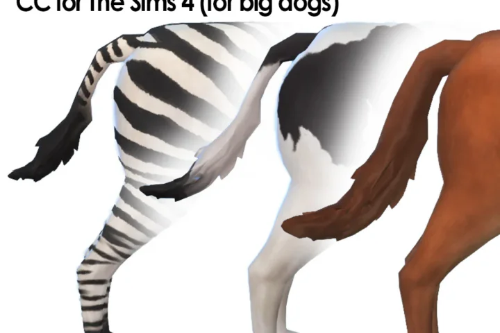 Horse Tail