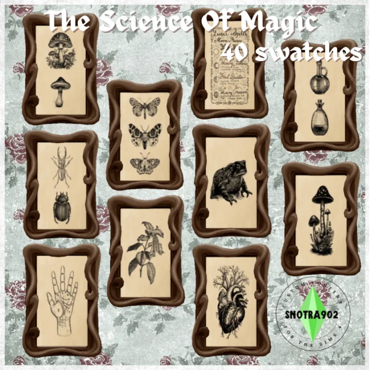 The science of Magic