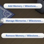Memory Panel: a System for Lifelong Memories