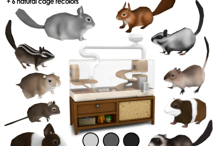 Small Animal Package Part 1