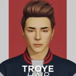 Troye Hair
