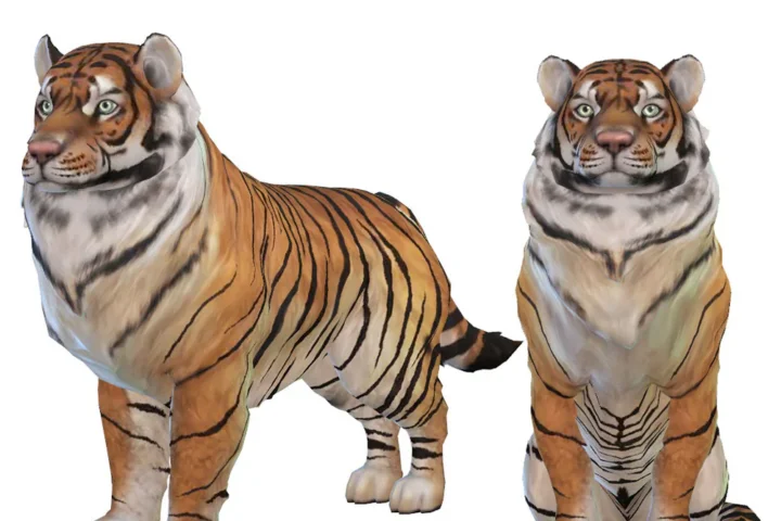 Bengal Tiger - Dog