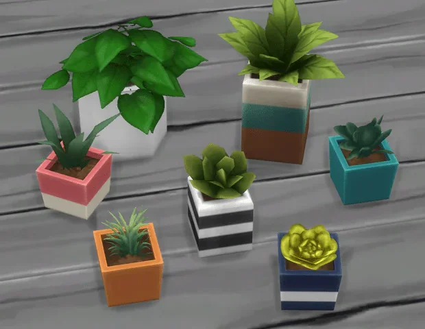 Tiny Living Plant Clutter