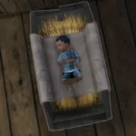 TSM Noble Town Crier