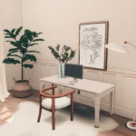 Bookstore with Apartment