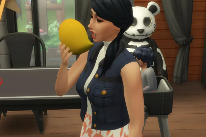 Harvestable Mango