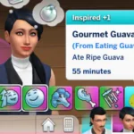 Harvestable Guava