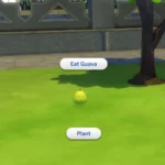 Harvestable Guava