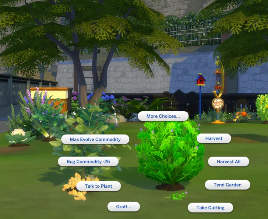 Harvestable Peppermint