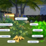Harvestable Ginger