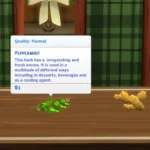 Harvestable Peppermint