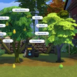 Harvestable Papaya