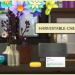 Harvestable Cheese