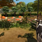 Pumpkin Farm
