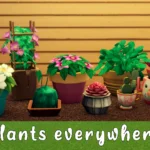 Plants everywhere