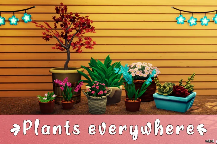 Plants everywhere