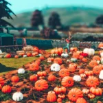 Autumn Farmhouse