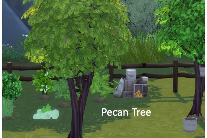 HARVESTABLE PECAN