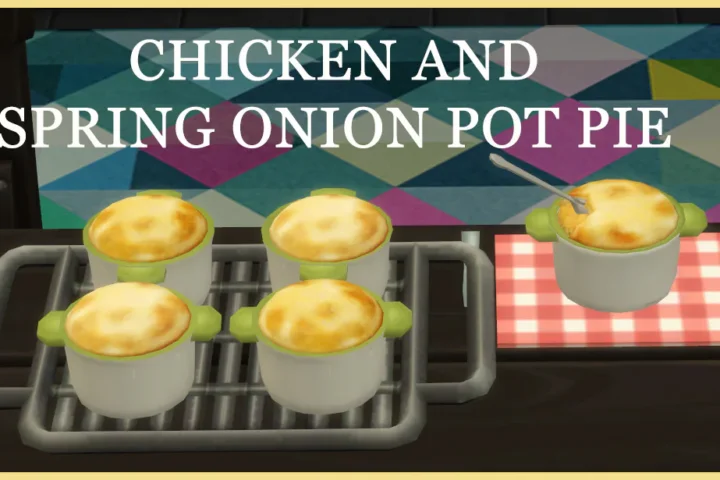 CHICKEN AND SPRING ONION POT PIE
